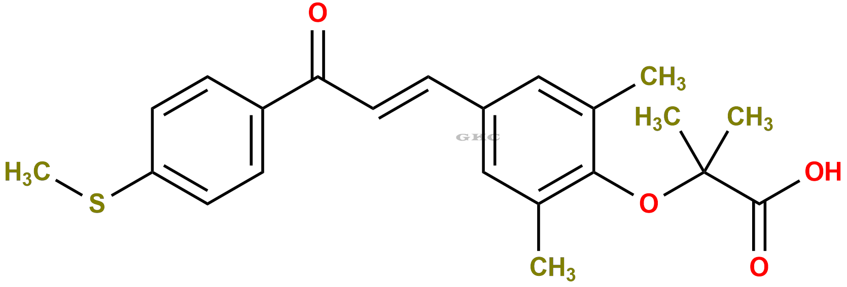 Elafibranor